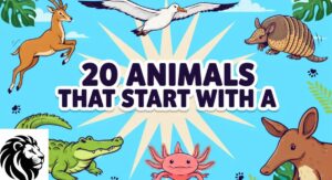 20 Animals That Start With A