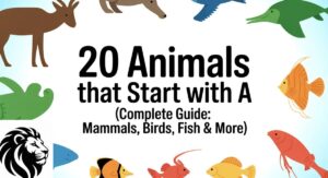 20 Animals That Start With A (Complete Guide: Mammals, Birds, Fish & More)