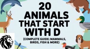 20 Animals That Start With D (Complete Guide: Mammals, Birds, Fish & More)