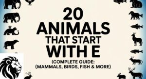 20 Animals That Start With E (Complete Guide: Mammals, Birds, Fish & More)
