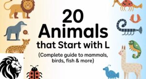 20 Animals That Start With L (Complete Guide to Mammals, Birds, Fish & More)