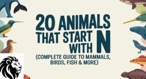 20 Animals That Start With N (Complete Guide to Mammals, Birds, Fish & More)