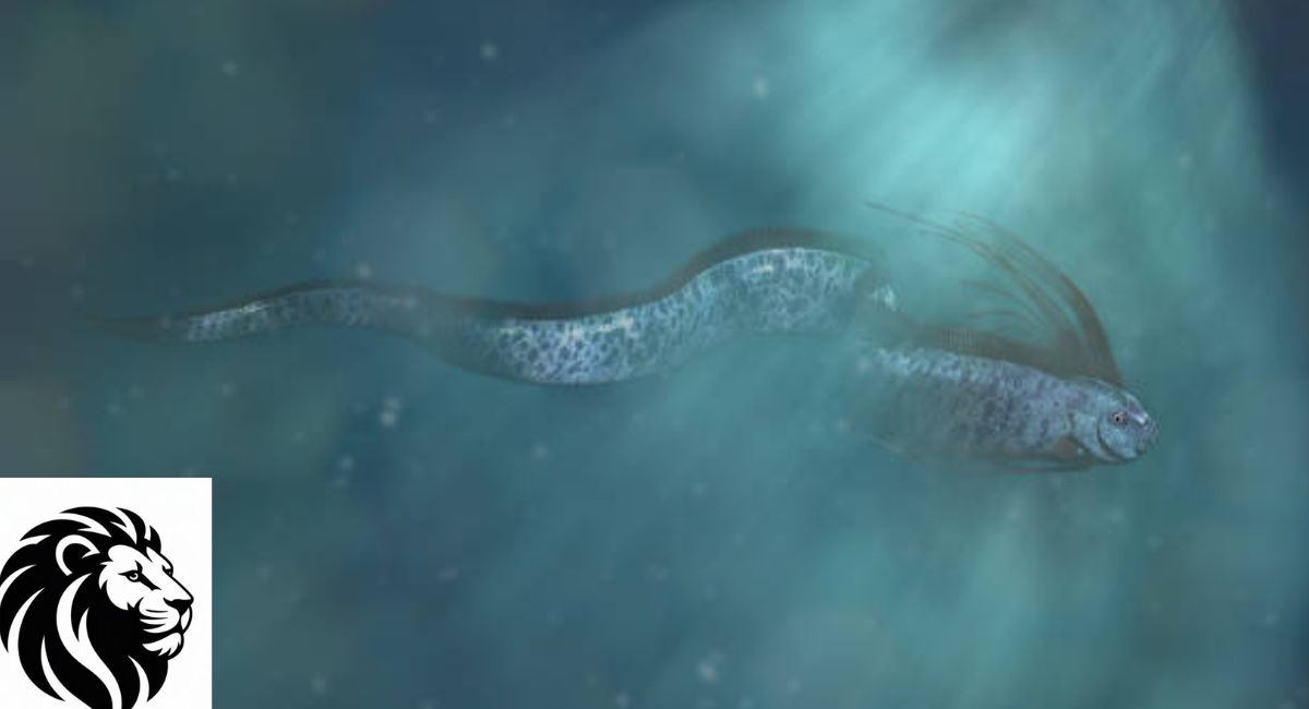 Oarfish