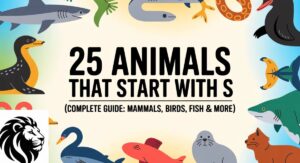 25 Animals That Start With S (Complete Guide: Mammals, Birds, Fish & More)