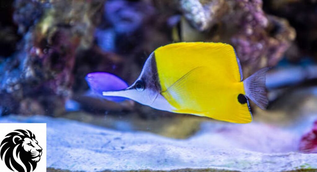 Top 20 Yellow Animals Found in Forests, Oceans, and Rainforests