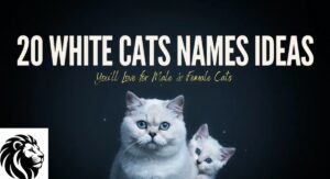 20 White Cats Names Ideas You'll Love for Male and Female Cats
