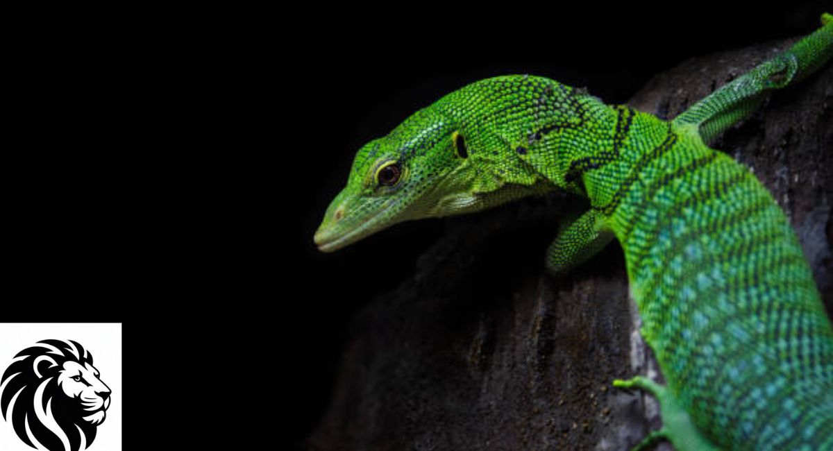 Emerald Tree Monitor