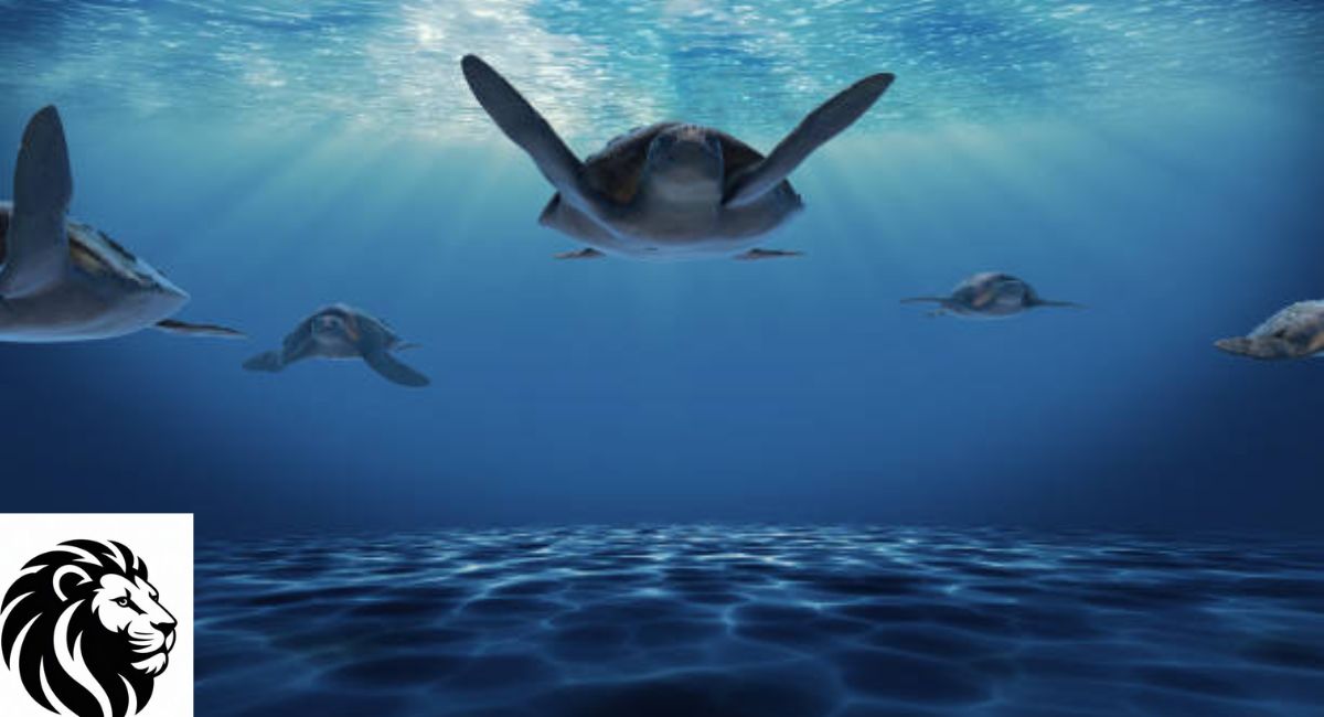 Turtles Breathe Through Lungs