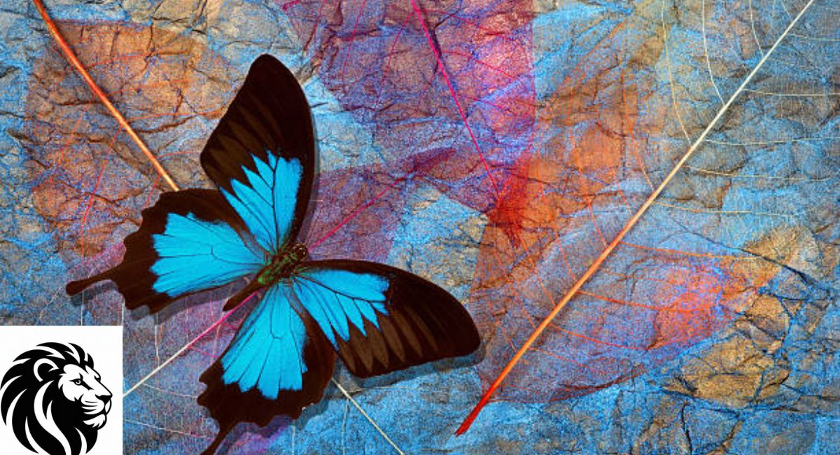 Ulysses Butterfly